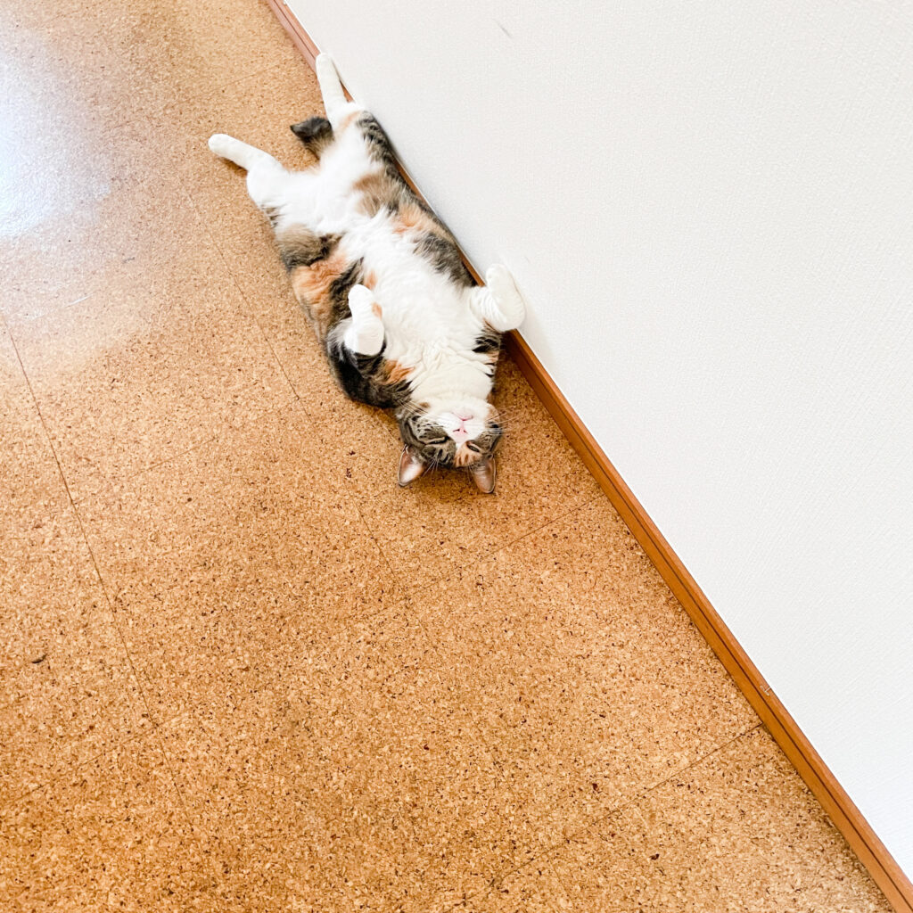 彼との関係にすれ違わない  5つの愛の言語と、魂がほんとうに求めているつながり