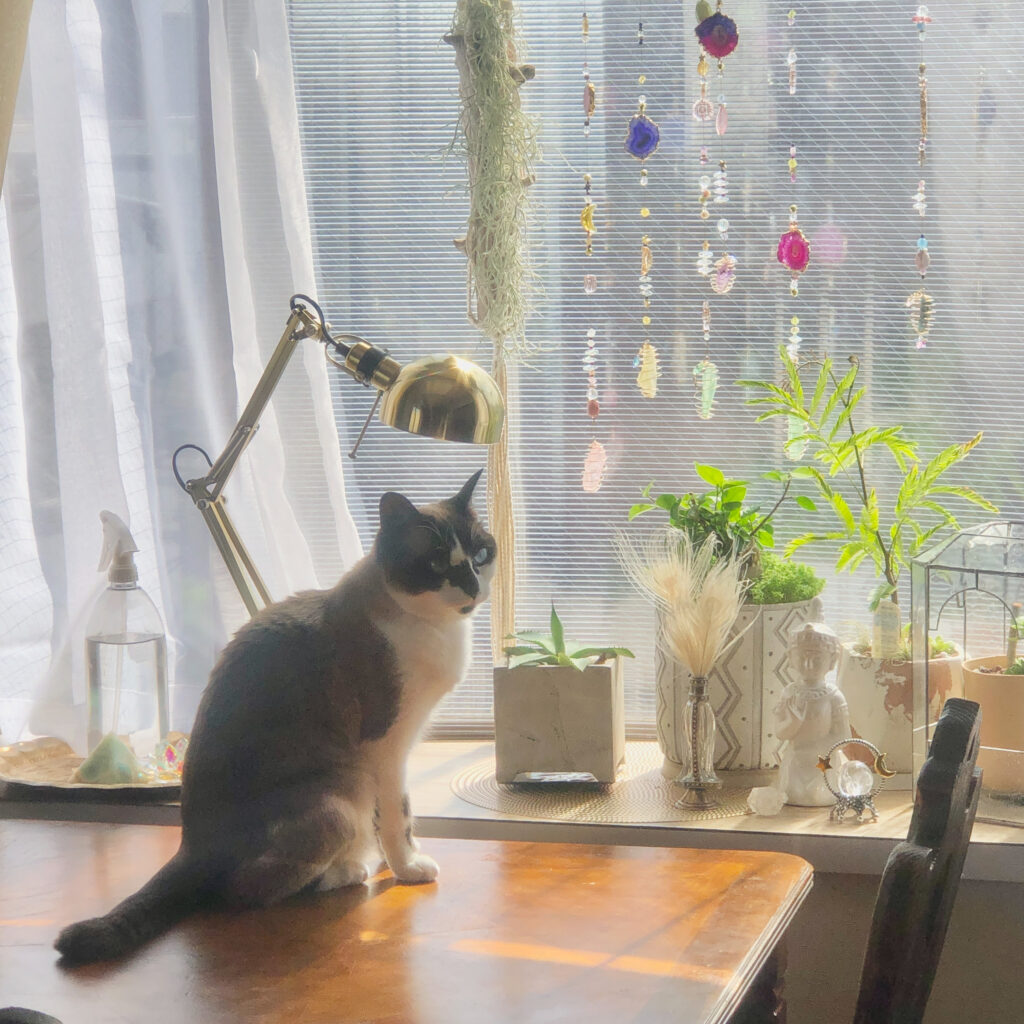 「いいことばかり言う人」に要注意。スピリチュアルに潜む“逃げ”と“見ないふり”の正体