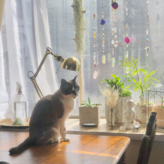 「いいことばかり言う人」に要注意。スピリチュアルに潜む“逃げ”と“見ないふり”の正体